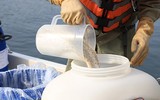 Tiếp tục xử lý ô nhiễm nước hồ ở Hà Nội bằng chế phẩm Redoxy-3C